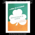 Irish Gifts Shamrock Seeds from Ireland